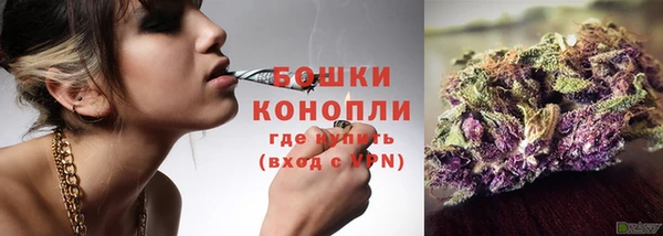 соль ск Богородицк