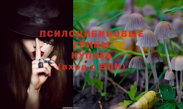 эйфоретик Беломорск