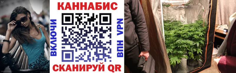 Шишки марихуана марихуана  купить закладку  Великий Устюг 